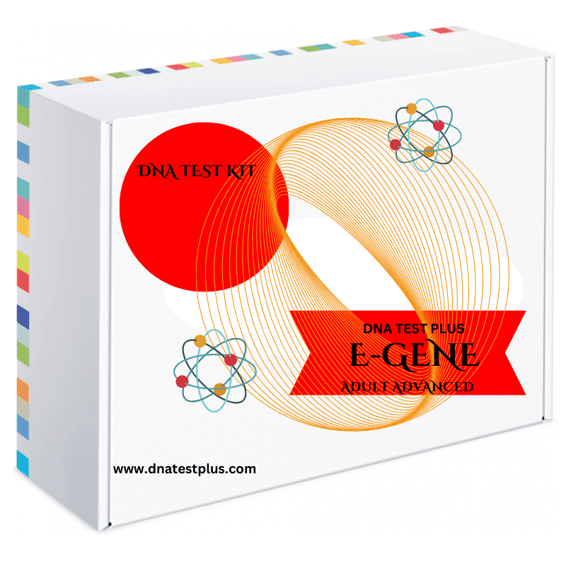 DNA test kit box with intricate geometric design and branding, dnatestplus.com.
