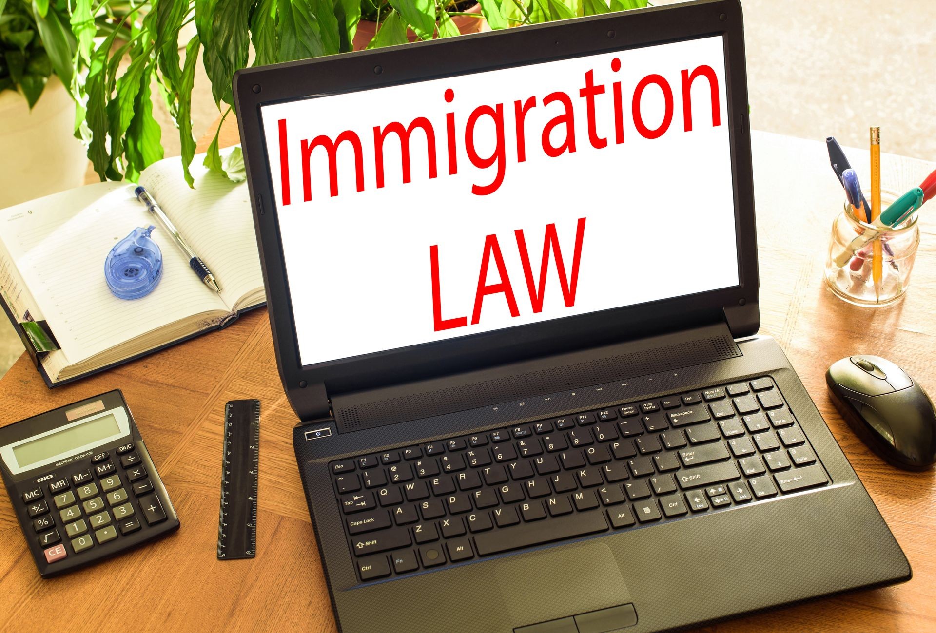 Immigration law. Concept office